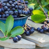 Džem od aronije sa limunom: 6 recepata